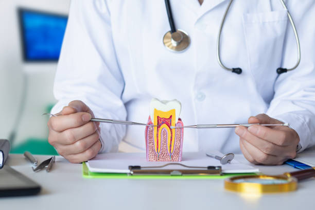 Best Knocked-Out Tooth (Avulsed Tooth) Treatment in Manhasset, NY